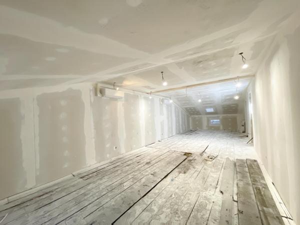 Immeuble avec local commercial, deux terrasses, 3 appartements, une salle des fêtes, 4 caves et une dépendance