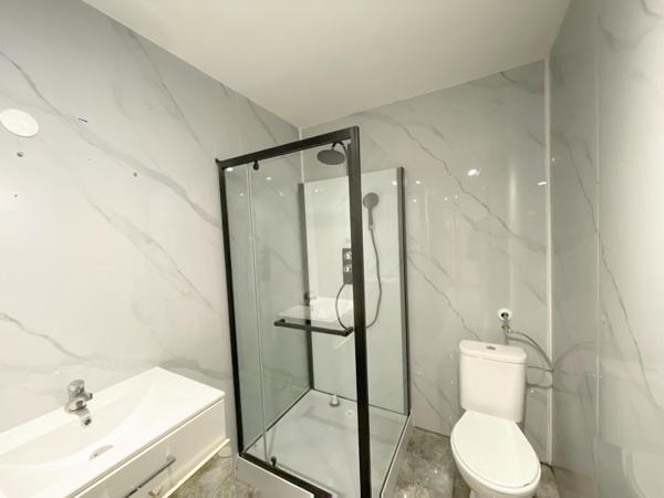 Immeuble avec local commercial, deux terrasses, 3 appartements, une salle des fêtes, 4 caves et une dépendance