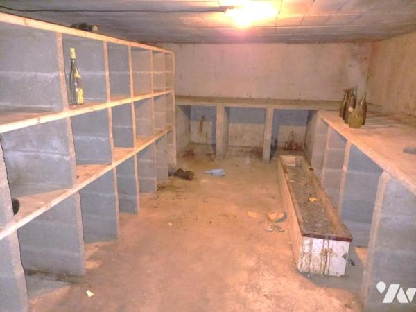 TOURS NORD - PLAIN PIED NON MITOYEN - 4 CHAMBRES- 2 GARAGES - GRANDE CAVE