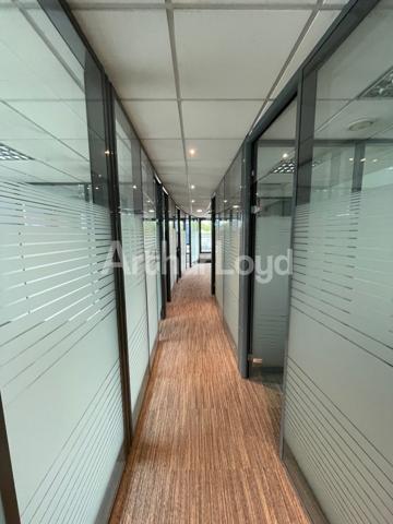 Bureaux à louer ou à vendre à Lille avec terrasse privative et parkings sécurisés