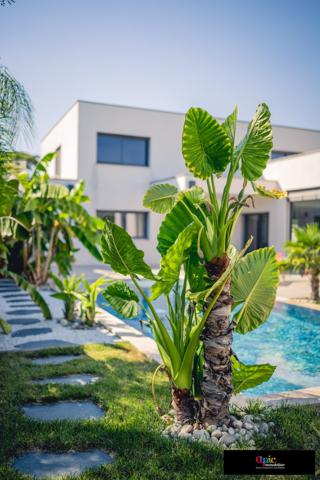 Villa exceptionnelle !
