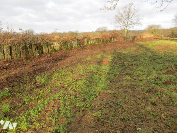 EN EXCLUSIVITE, à 1 HEURE de GRANVILLE et 15mn de VIRE NORMANDIE