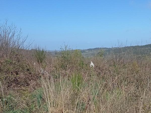 terrain constructible de 6550m² avec vue