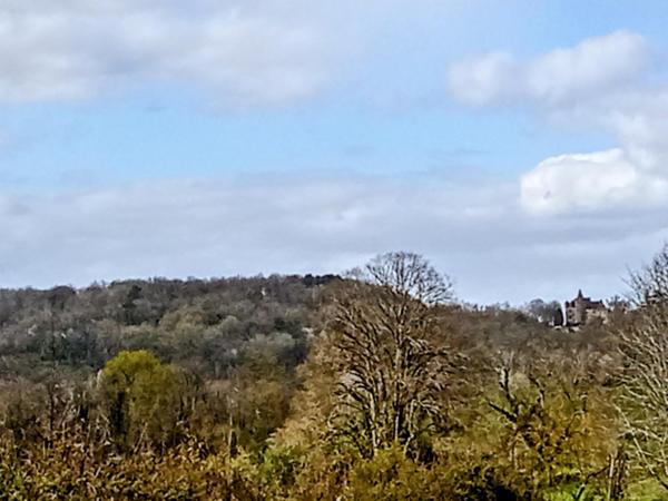 terrain constructible de 6550m² avec vue