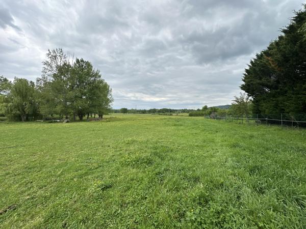 Vente / Maison et grand terrain