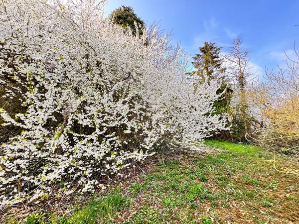 BEAUVAIS MAISON SEJOUR DOUBLE CUISINE 3 CHAMBRES BUREAU SALLES D'EAU SOUS-SOL TOTAL JARDIN