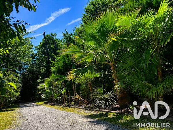 Maison à vendre 8 pièces 240 m² Montfort-en-Chalosse