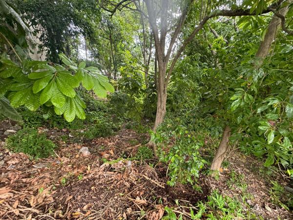 Terrain constructible GOSIER