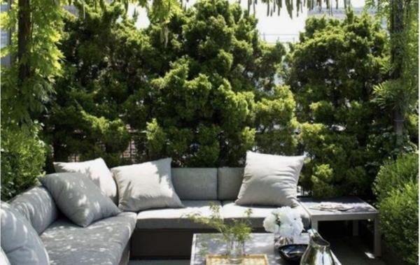 Vente Appartement P3 Centre du Village Crozet   