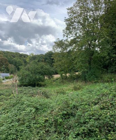 A vendre - Maison ancienne à rénover sur plus d'1.3 hectare - La Vaupalière