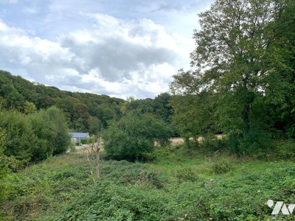 A vendre - Maison ancienne à rénover sur plus d'1.3 hectare - La Vaupalière