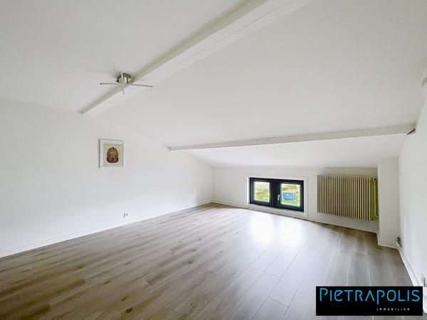 BELLEVILLE CENTRE VILLE A PIED GRANDE VILLA FAMILIALE 280 M2 HAB 2030 M2 DE TERRAIN