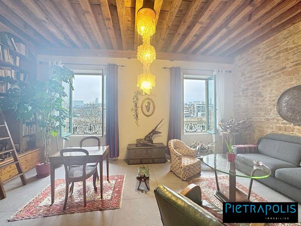 MAGNIFIQUE DUPLEX VUE SAONE