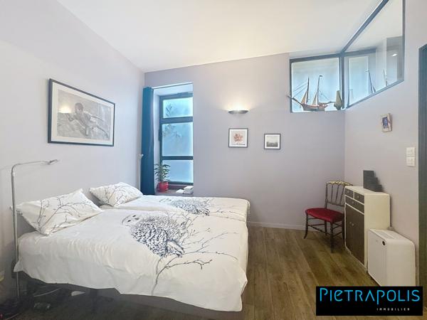 MAGNIFIQUE DUPLEX VUE SAONE