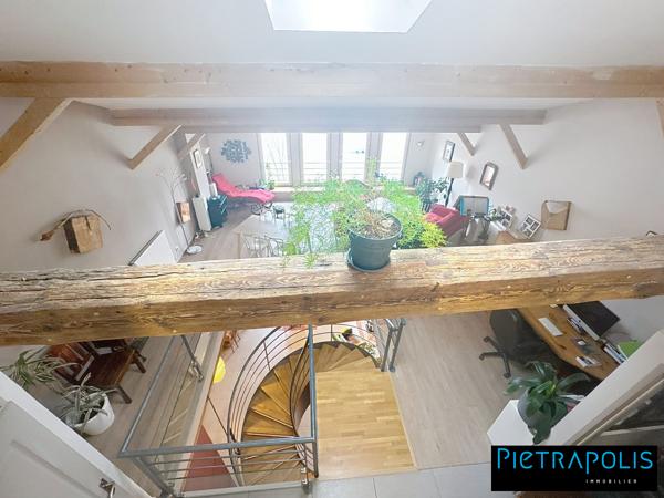 MAGNIFIQUE DUPLEX VUE SAONE
