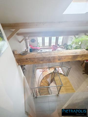 MAGNIFIQUE DUPLEX VUE SAONE