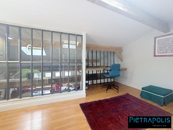 MAGNIFIQUE DUPLEX VUE SAONE