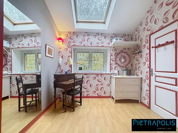 MAGNIFIQUE DUPLEX VUE SAONE