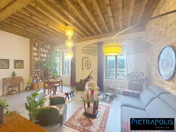MAGNIFIQUE DUPLEX VUE SAONE