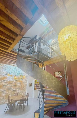MAGNIFIQUE DUPLEX VUE SAONE