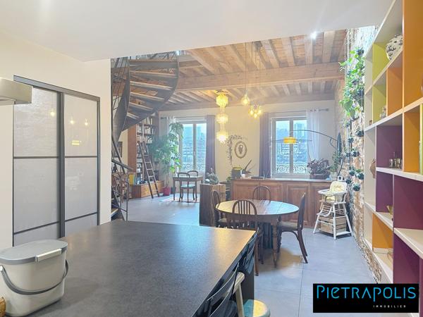 MAGNIFIQUE DUPLEX VUE SAONE
