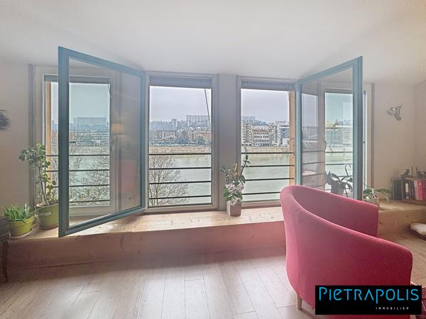 MAGNIFIQUE DUPLEX VUE SAONE