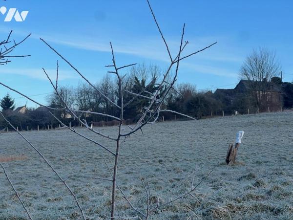 VIMOUTIERS PARCELLE D'HERBAGE avec bâtiment 29.742m²