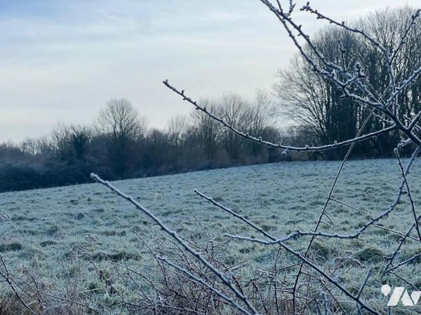 VIMOUTIERS PARCELLE D'HERBAGE avec bâtiment 29.742m²