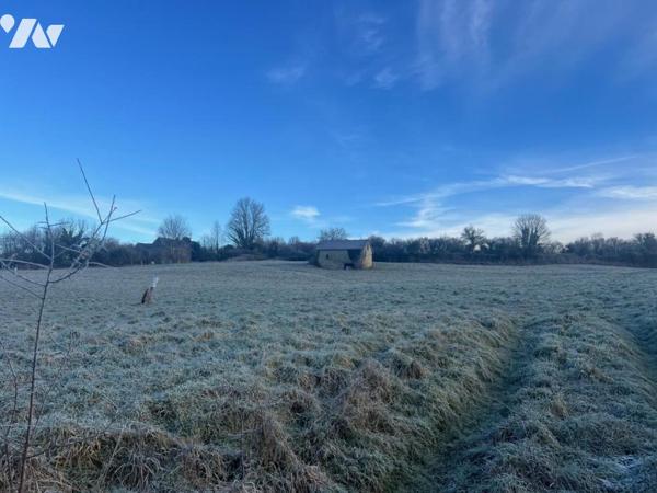 VIMOUTIERS PARCELLE D'HERBAGE avec bâtiment 29.742m²