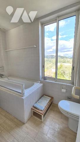 Colline de Pessicart - Villa de 220 m² avec piscine et deux dépendances habitables de 50 m² !