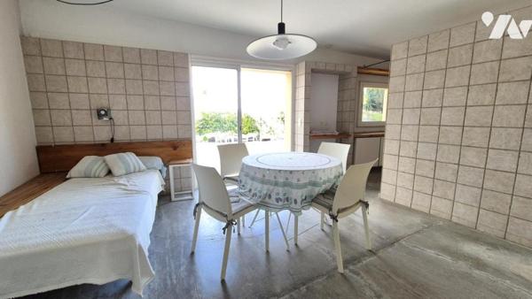 Colline de Pessicart - Villa de 220 m² avec piscine et deux dépendances habitables de 50 m² !