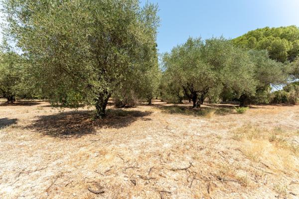 Vente Maison de luxe Saint-Rémy-de-Provence 6 Pièces 200 m²