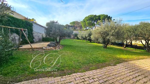 Villa plain pied - 23 oliviers