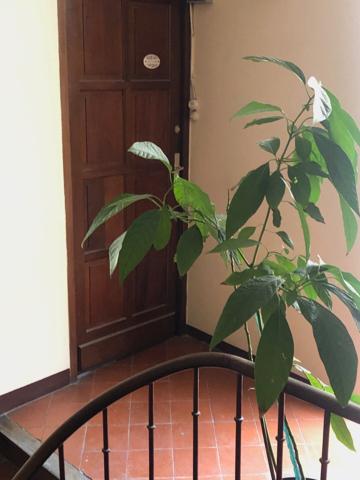 Appartement de type T4 Centre ville (République)