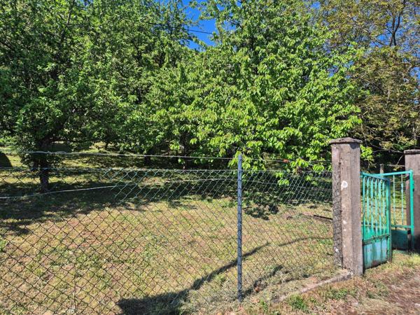 Terrain de 1271 m²