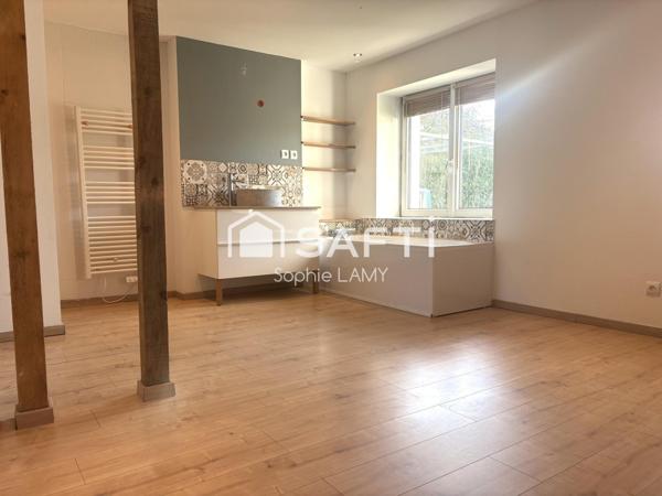 Grande maison rénovée sur parcelle avec piscine