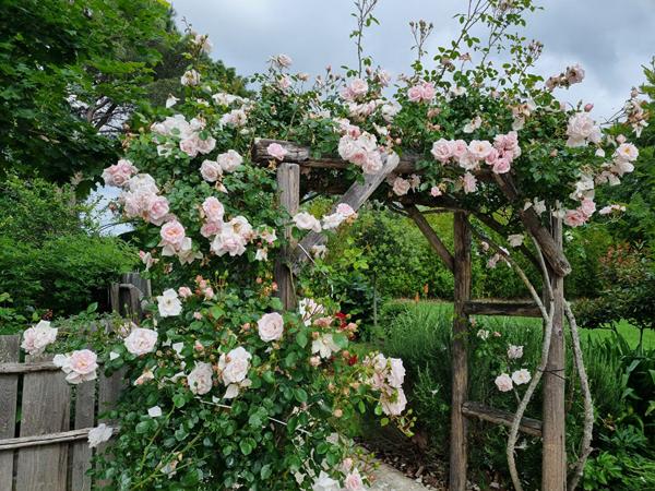 Domaine d'exception entre nature, confort et potentiel d'accueil. Mazeres