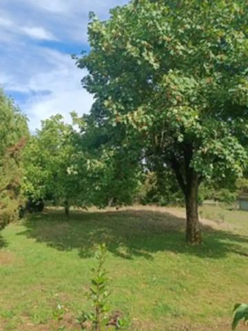 Construisez votre avenir sur 1 008 m2 de tranquillité Lava