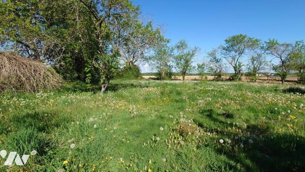 EN CAMPAGNE ANCIEN CORPS DE FERME