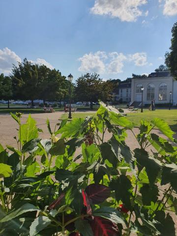 Dpt Vosges (88), à vendre CONTREXEVILLE ENSEMBLE de 7 STUDIOS/CHAMBRES dans résidence avec ascenseur quartier thermal