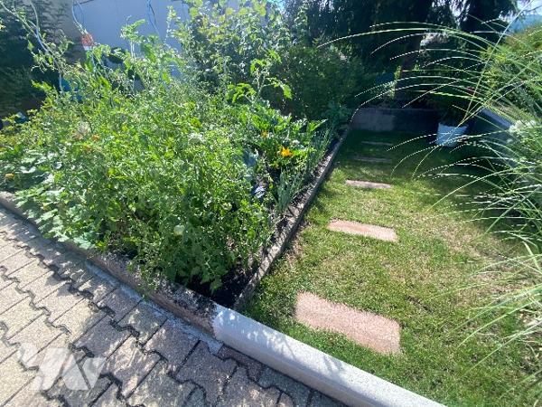Pour amoureux de la nature, maison de 75m² habitables environ plus dépendances sur 295m² de jardin