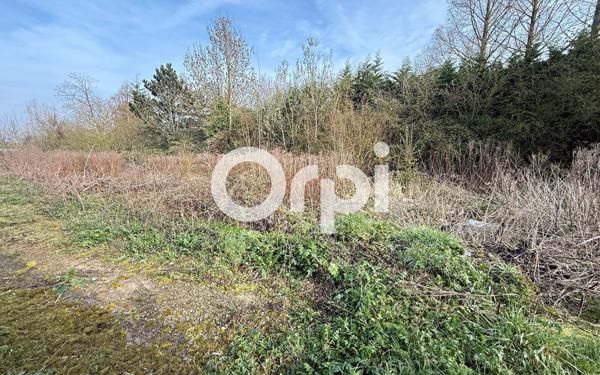 Terrain à vendre    Locon