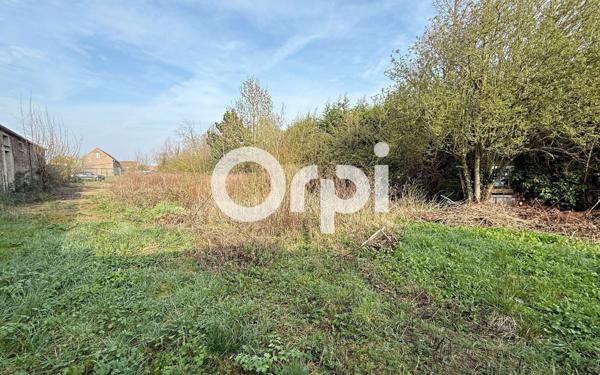 Terrain à vendre    Locon