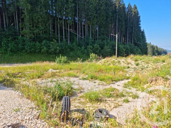 terrain à vendre  919 m2 LAMOURA - 39