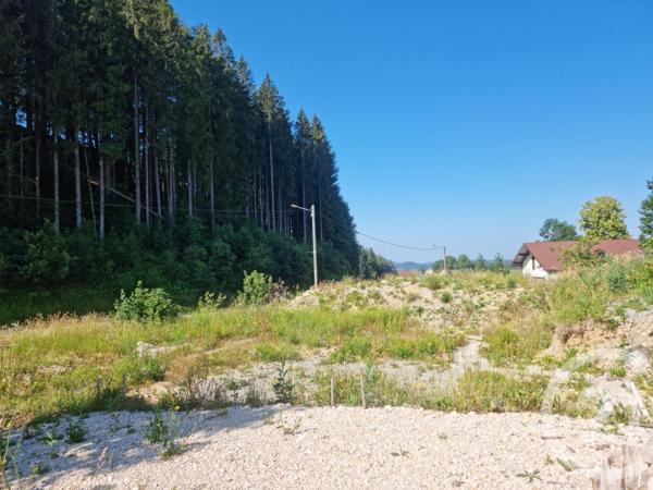 terrain à vendre  919 m2 LAMOURA - 39