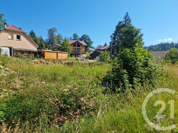 terrain à vendre  919 m2 LAMOURA - 39