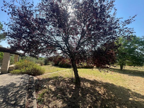 Ancienne bergerie en pierre restaurée avec soin