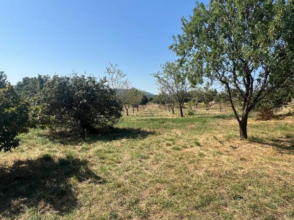 Ancienne bergerie en pierre restaurée avec soin