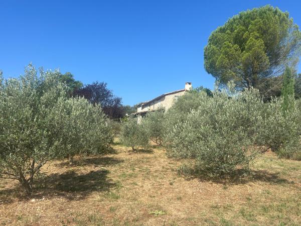 Ancienne bergerie en pierre restaurée avec soin