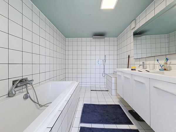 DUPLEX DE 181 M² AVEC PARC ARBORE DE 9588 M²